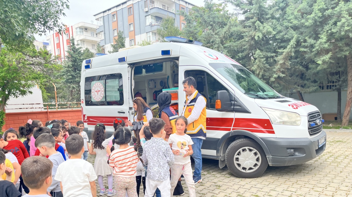 Sağlık Eğitimi